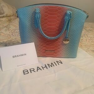 NWT Brahmin Sarchel